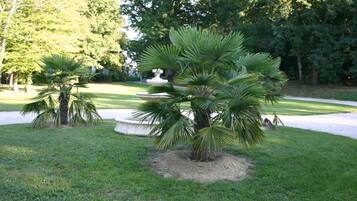 Parco della struttura