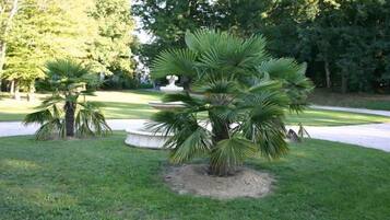 Enceinte de lâhĂ©bergement