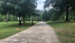 A concrete pathway flanked by trees in a park setting.