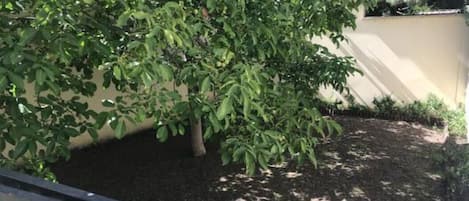 Terrain de lâhĂ©bergement