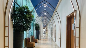 A modern hotel corridor with a glass wall, a large potted plant, a wooden door, and a seating area with chairs. - HiGuests - DAMAC Maison Prive Tower A (Dubai)