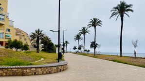 Een verhard pad met palmbomen en een stenen muur aan één kant, dat naar het strand leidt.