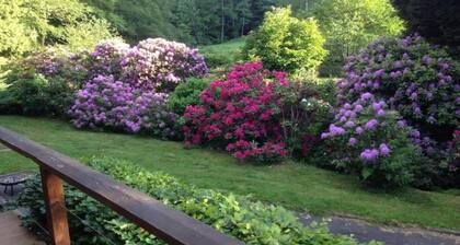 Séjour romantique à Saint-Quirin