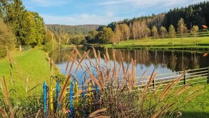 Una vista tranquila de un lago con césped, árboles y una cerca.