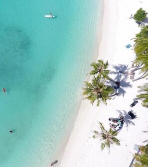 Exterior - Paradise Retreat (Maafushi)