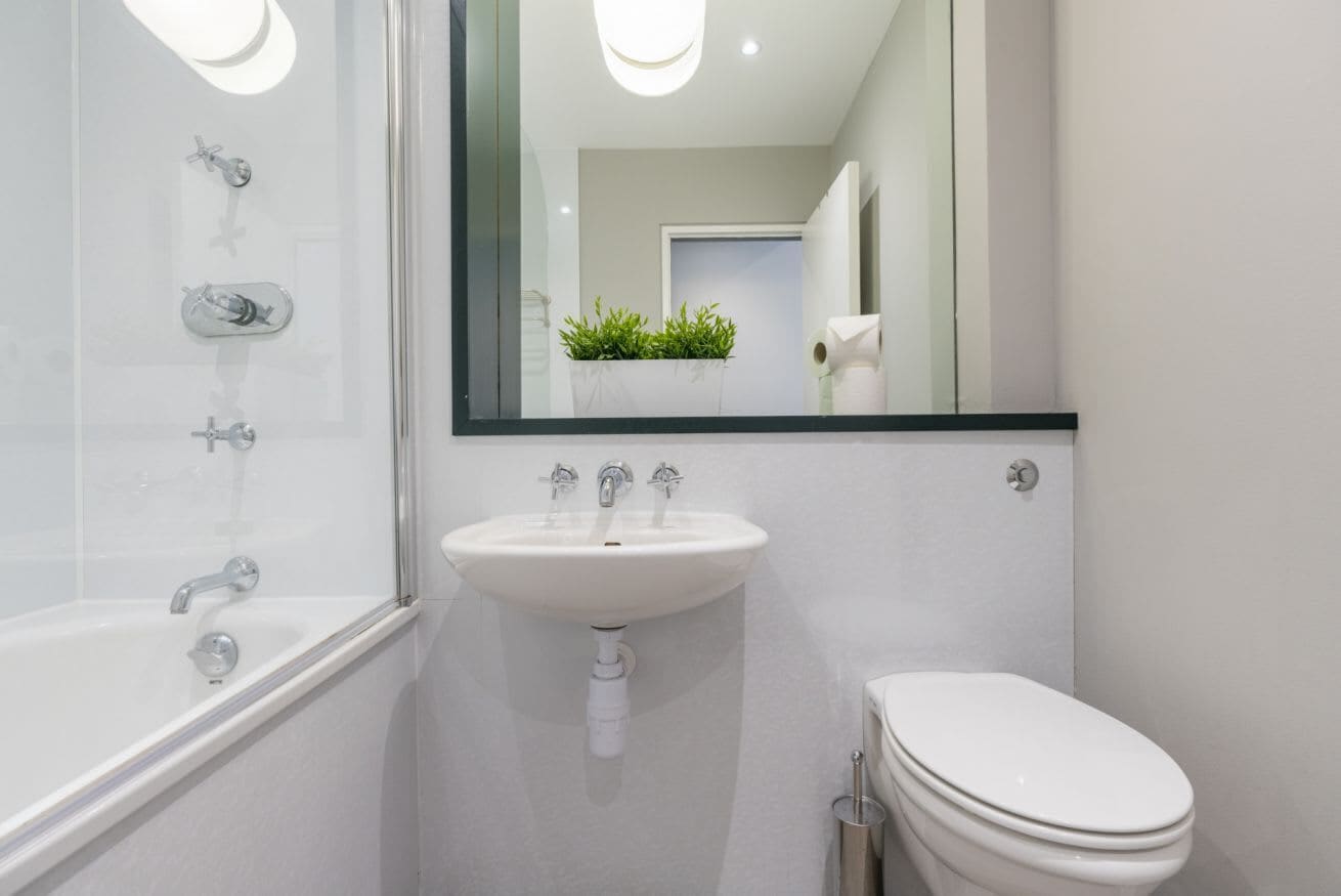 Combined shower/tub, hair dryer, towels, shampoo
