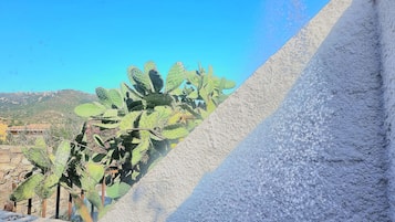 Detalle del exterior