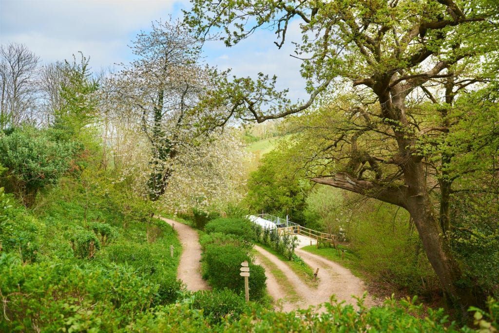 A dirt path leading through a wooded area with a small building visible in the distance.