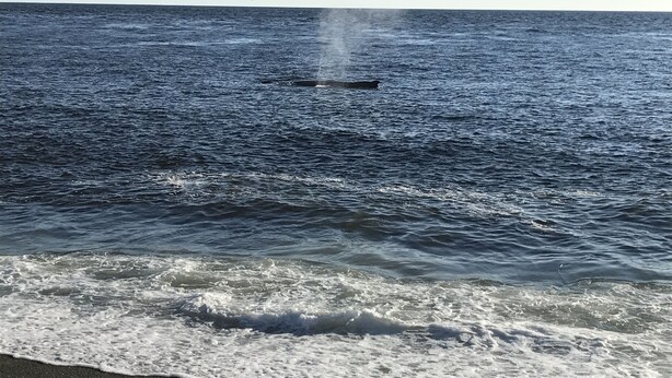 A view of the ocean with waves crashing onto the shore.