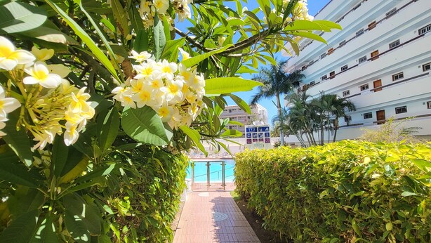 A pathway lined with lush greenery and flowers leading to a pool area, with a multi-story building in the background.