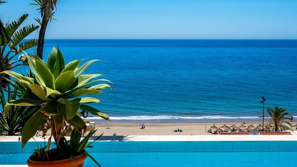Une vue sur la piscine, avec un ciel bleu dégagé, une plage en arrière-plan et un palmier.