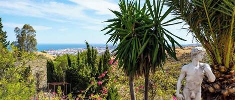 Área da propriedade