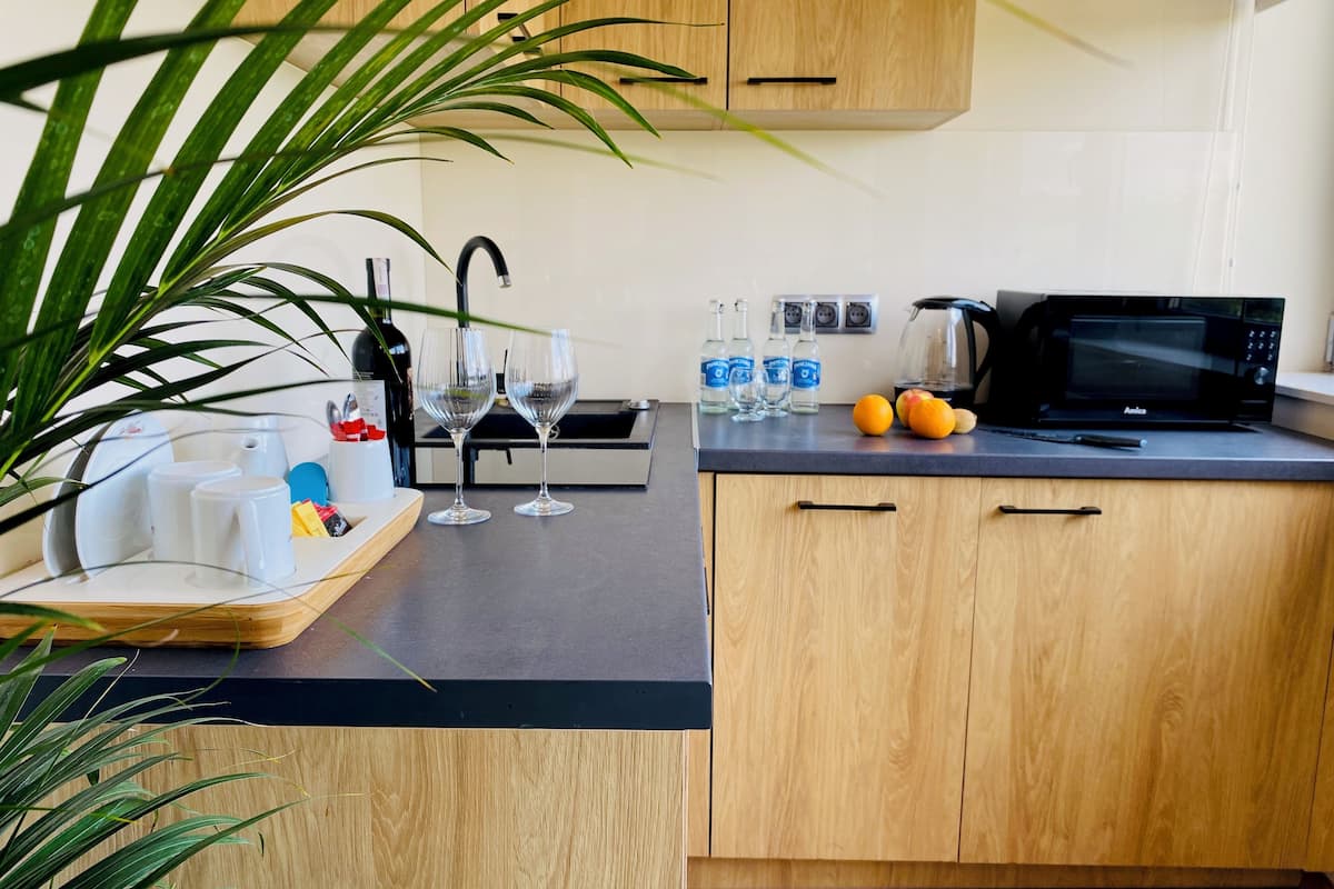 apartment | private kitchen | fridge, microwave, stovetop, dishwasher