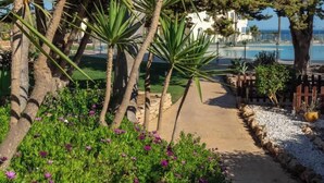 Un sendero bordeado de palmeras y plantas con flores que lleva a una playa.