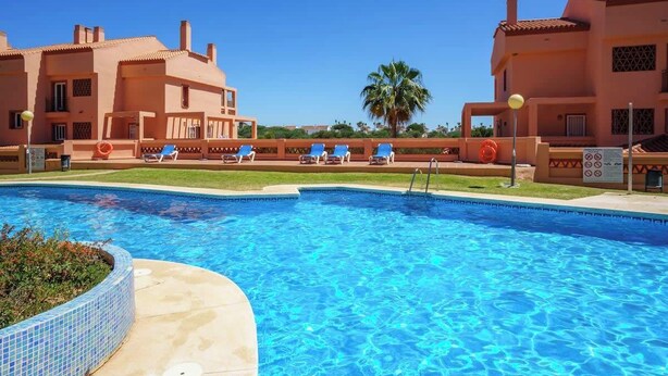 Une piscine avec des chaises longues et un palmier en arrière-plan.