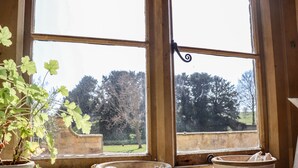 A window with two white ceramic bowls on the sill, a potted plant to the left, and a view of trees and a building outside.