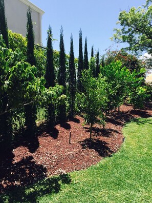 Áreas de la propiedad