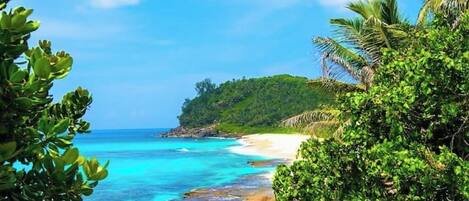 Beach nearby