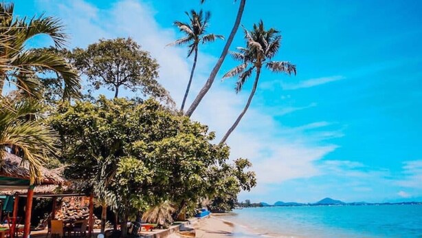 Una playa con palmeras, una estructura de madera y una vista despejada del océano.