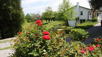 House, 2 Bedrooms | Garden