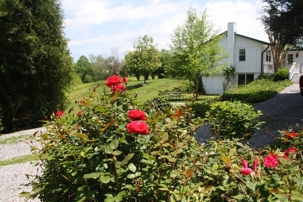 House, 2 Bedrooms | Garden - Peace Of Paradise 2 Bedroom Home by RedAwning (Townsend)