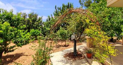 3 bedroom Guest House, just a few minute to drive to the Troodos Mountains.