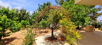 3 bedroom Guest House, just a few minute to drive to the Troodos Mountains.