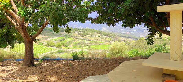 Áreas de la propiedad