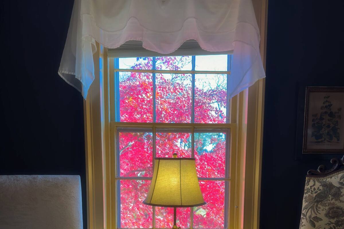 A room with a window, a lamp, a chair, a table, and a remote control.