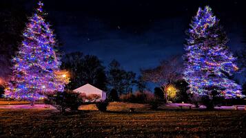 A nighttime scene with two illuminated Christmas trees in a park.