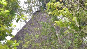 Front of property - Kaz Garden Cottages (Entebbe)
