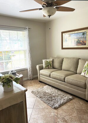 スマートテレビ、DVD プレーヤー、書庫、ビデオライブラリ