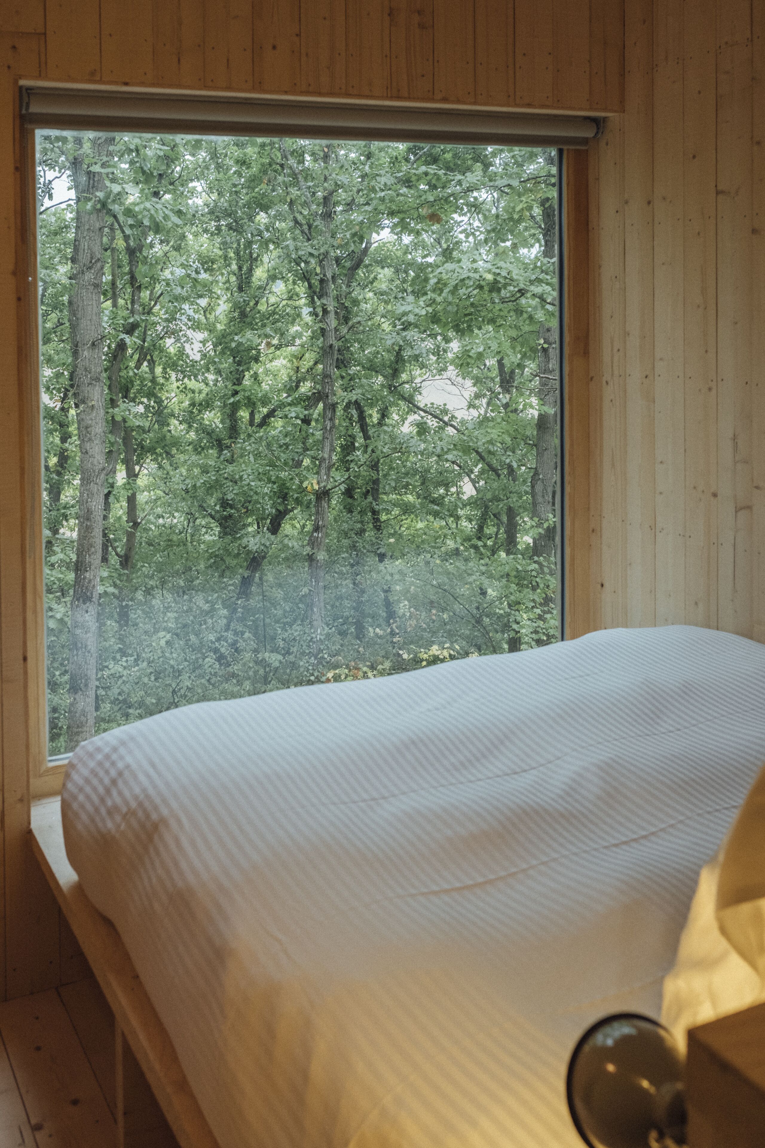 Un dormitorio con un ventanal que ofrece vistas a un bosque.