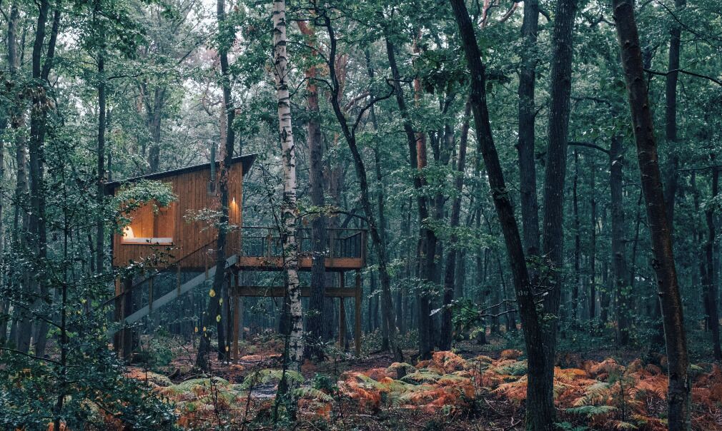 Superior Cabin | Minibar, blackout drapes, bed sheets