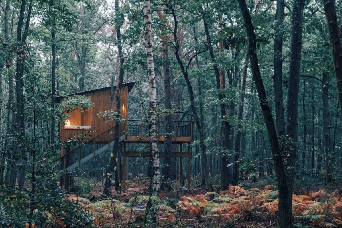 高級小屋 | 迷你吧、遮光布/窗簾、床單