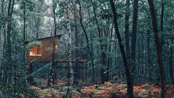 A wooden cabin in a forest with a staircase leading to an upper level.