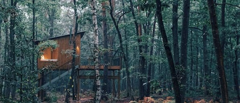 A wooden cabin in a forest with a staircase leading to an upper level.
