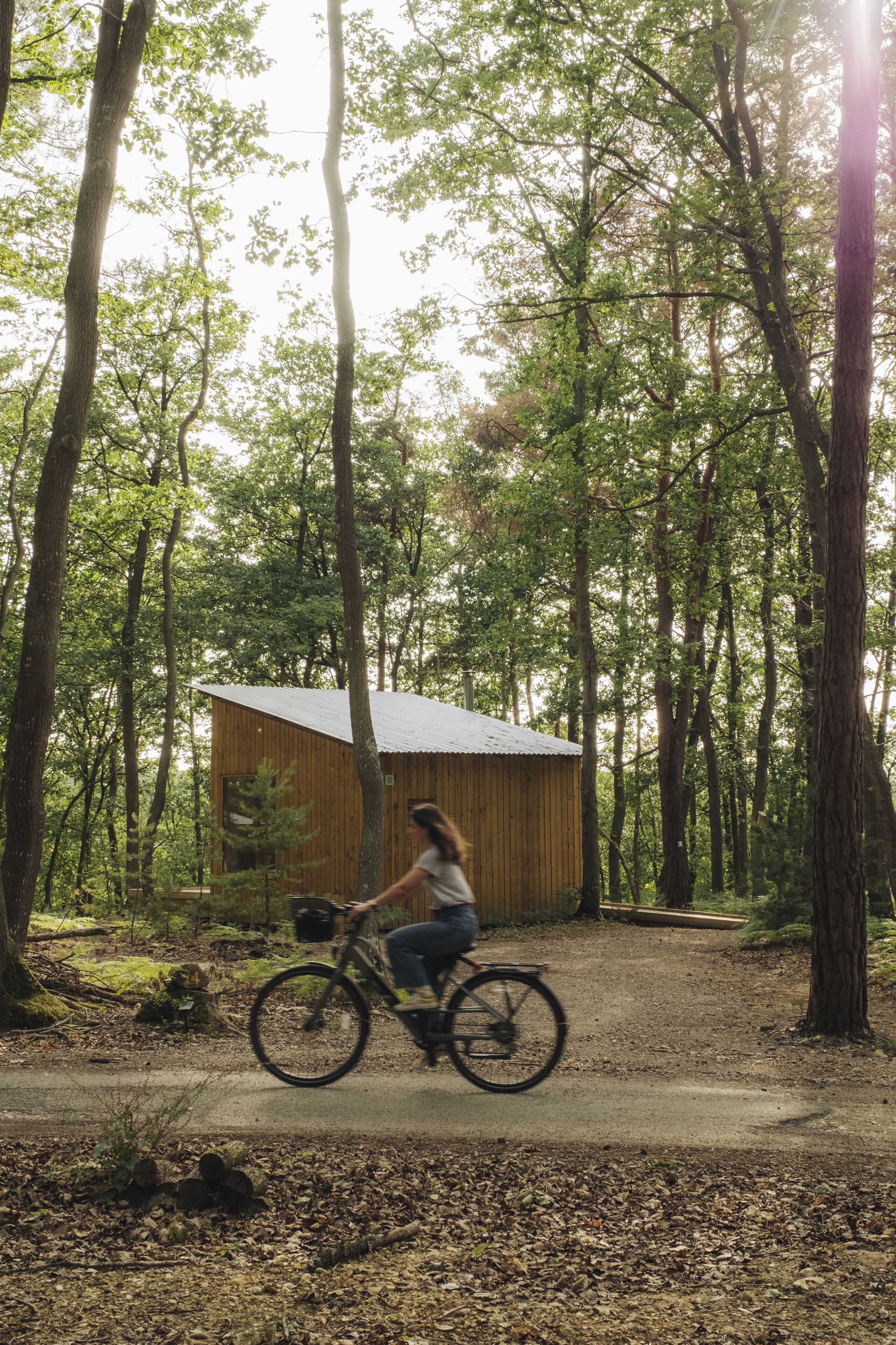 Una cabaña de madera en un bosque, con un sendero de tierra que la conduce.