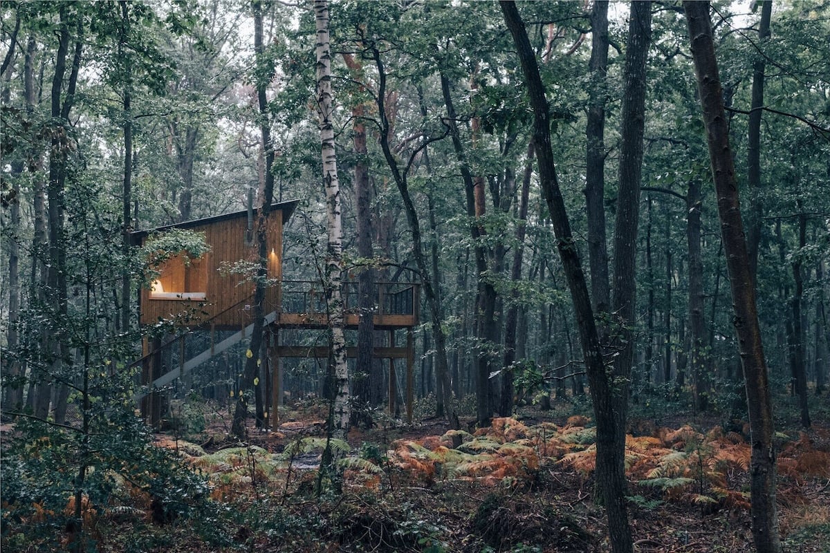 Een houten hutje in een bos, met een trap naar een terras.