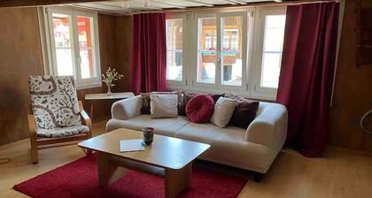 Cosy apartment in heritage protected swiss chalet