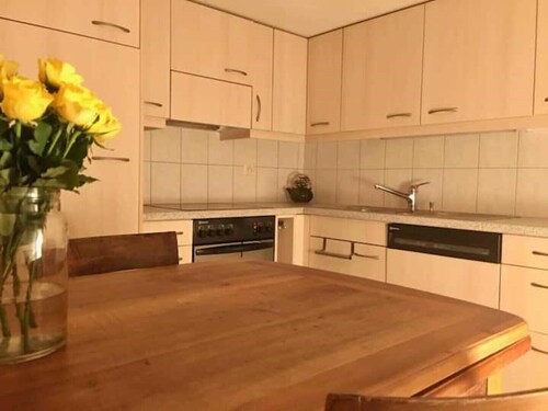 Cosy apartment in heritage protected swiss chalet
