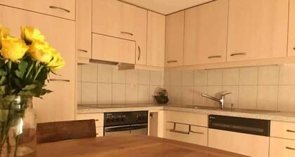 Cosy apartment in heritage protected swiss chalet