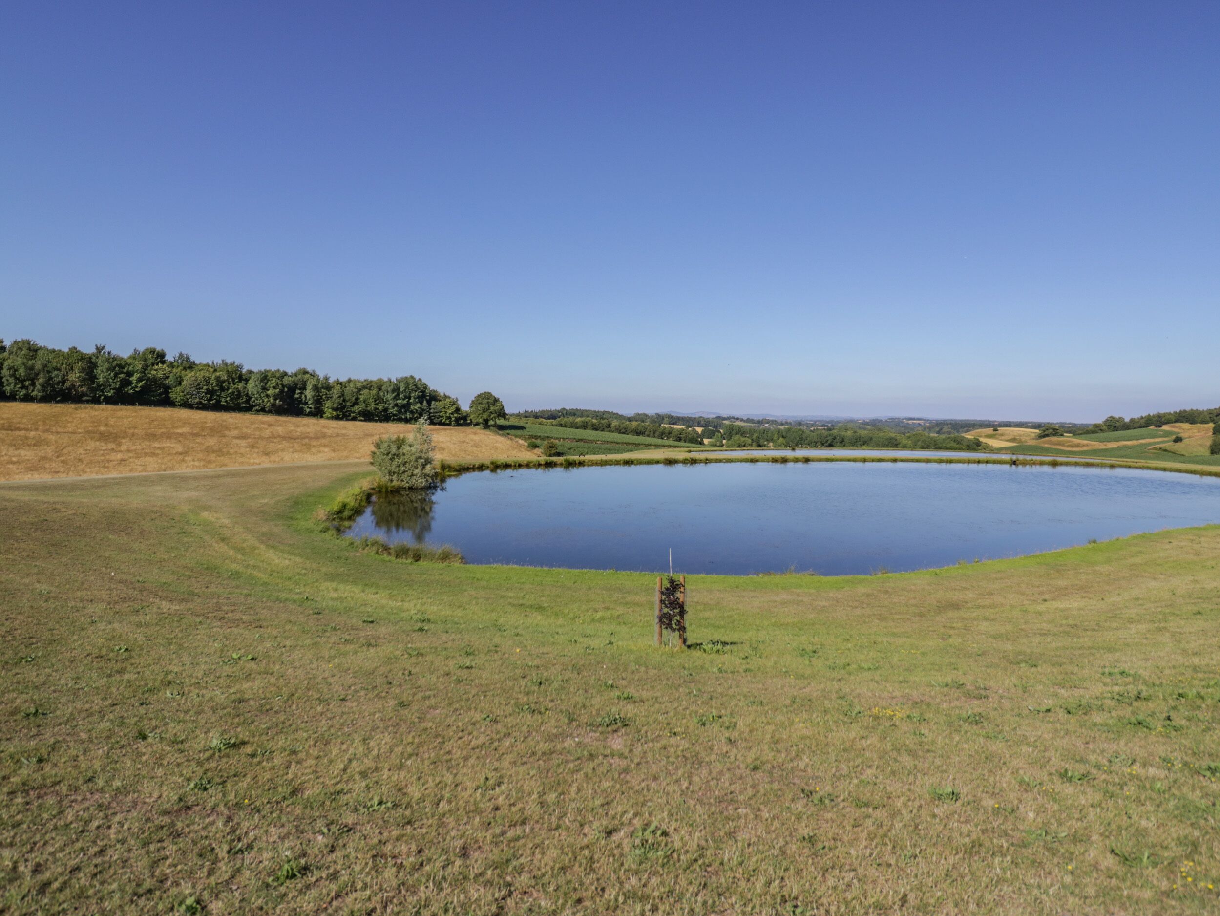 A large, calm lake surrounded by grassy fields and a forested area.