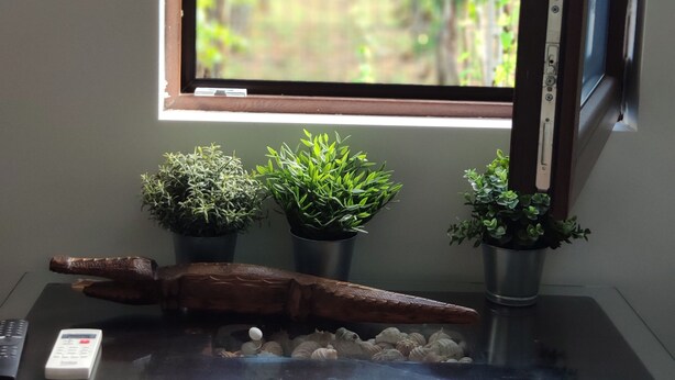 Une fenêtre donnant sur un paysage verdoyant, un bureau en bois avec un clavier, une télécommande et trois plantes en pot.