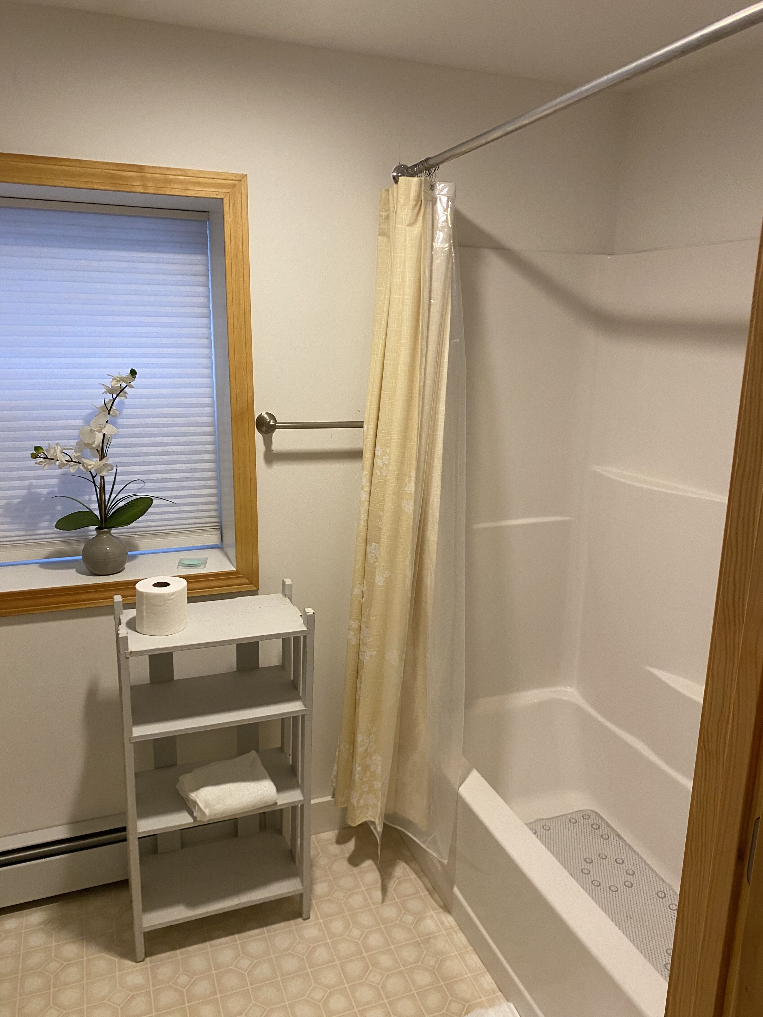 Combined shower/tub, hair dryer, towels, soap