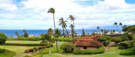 View from lanai