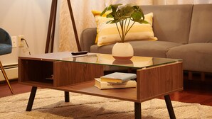 A living room with a glass coffee table, a floor lamp, a sofa, and a plant.