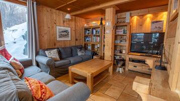 Télévision, cheminée, jeux vidéo, lecteur de DVD