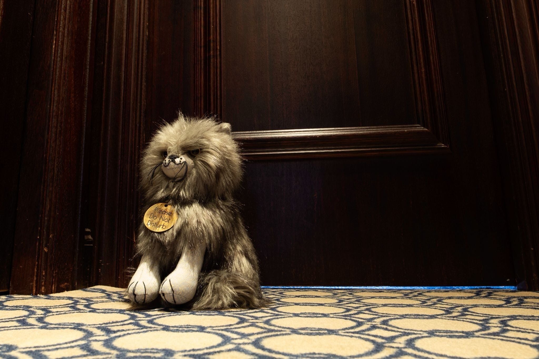 Foto - Ocean Mist Leith