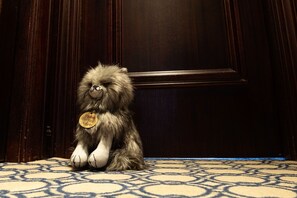 وسيلة راحة في الغرفة